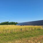 zonnepanelen in het graan