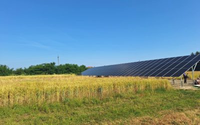 zonnepanelen in het graan